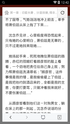 不提供护照可以申请埃及签证吗